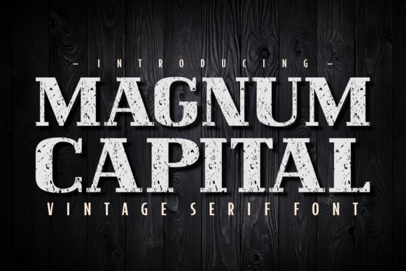 Magnum Capital: A Bold Serif for Digital Campaigns